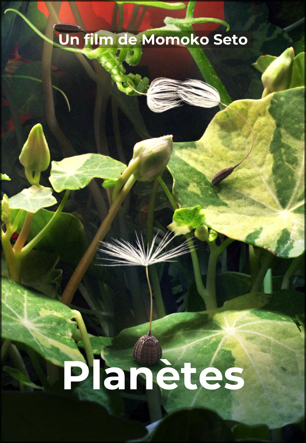 PLANETE – AWARDED